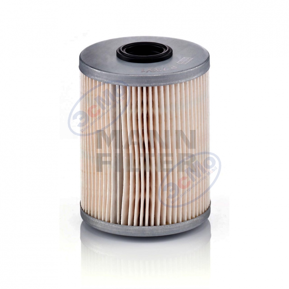 Фильтр топливный (MANN) P 733/1х Citroen, Nissan, Mitsubihi, Opel